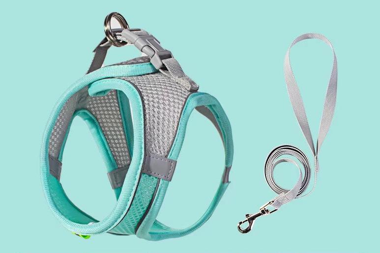 Puppy Harness Set Dog Accessories Adjustable Puppy and Cat Harness Vest French Bulldog Chihuahua Small Dog Collar Pet Leash Dogs
