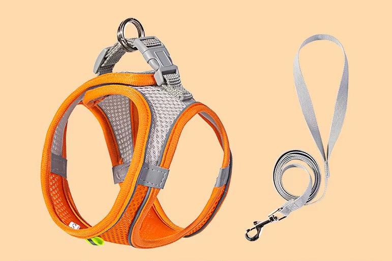 Puppy Harness Set Dog Accessories Adjustable Puppy and Cat Harness Vest French Bulldog Chihuahua Small Dog Collar Pet Leash Dogs